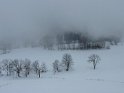 2010-01-26 10-16-52 Domaine d'Autrans-MBo